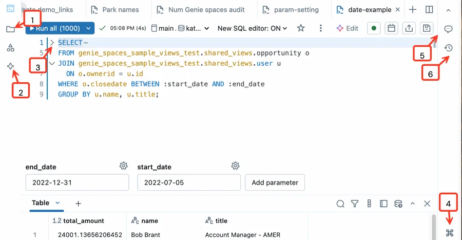 Azure Databricks SQL editor showing a query, parameters, workspace navigation, and tabular results.